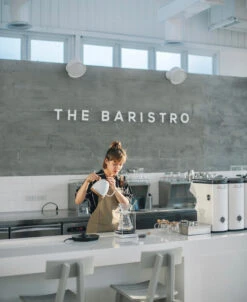 Brewista Artisan Electric Gooseneck Kettle - Pearl White -Coffee Machine Shop IMG 2932newlogo