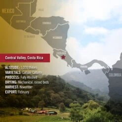 Barrie House Costa Rican La Alianza Tierra Madre Single Origin Fair Trade Organic Coffee -Coffee Machine Shop Stats CostaRica 1024x1024 626fdc77 f52d 478d 92c2 a3a827619d4a